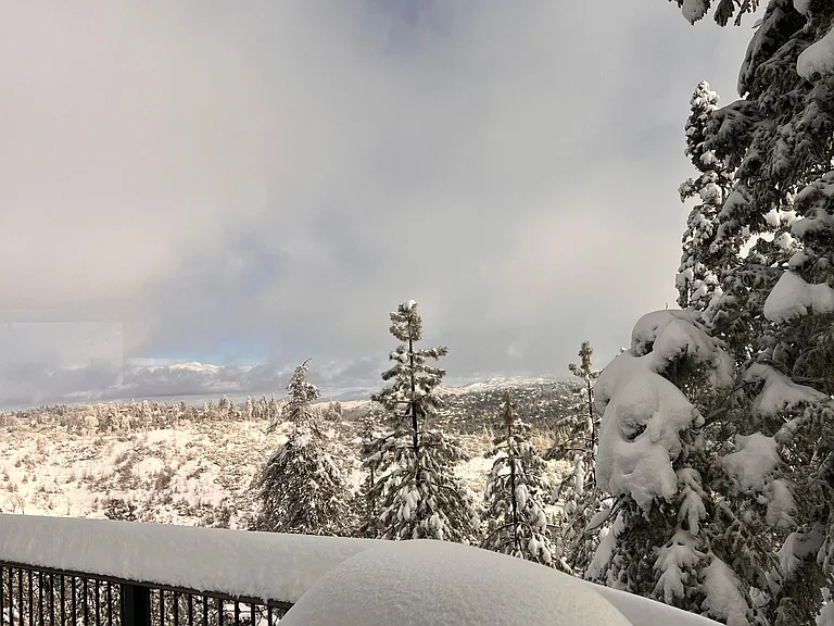 Winter View from Deck