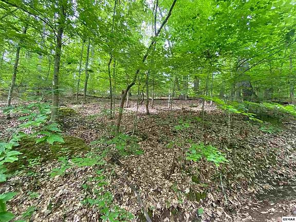 4th image of 1436 Shady Hollow Rd Lot 1436