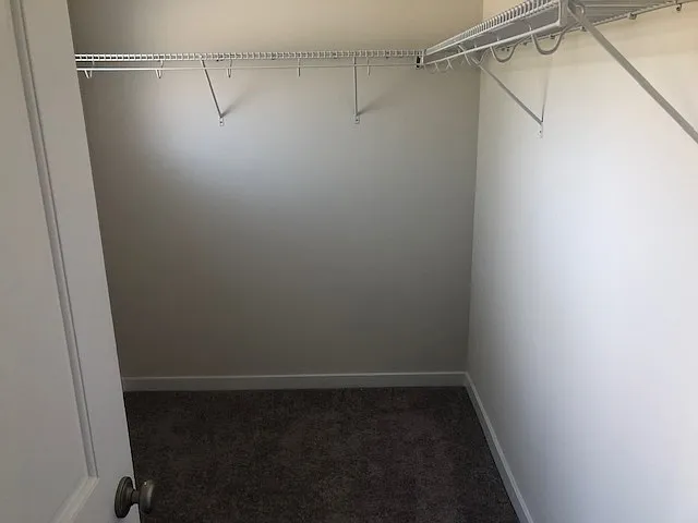walk in closet - primary