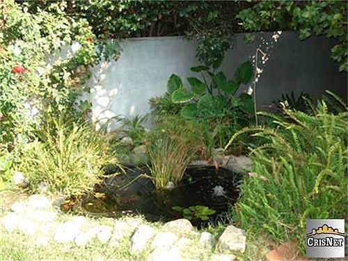 Koi Pond