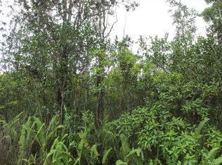 34th Ave LOT 31, Keaau, HI 96749