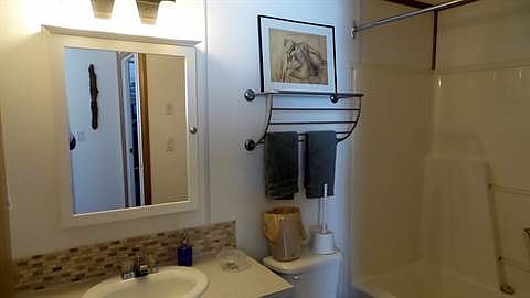 Main bath view