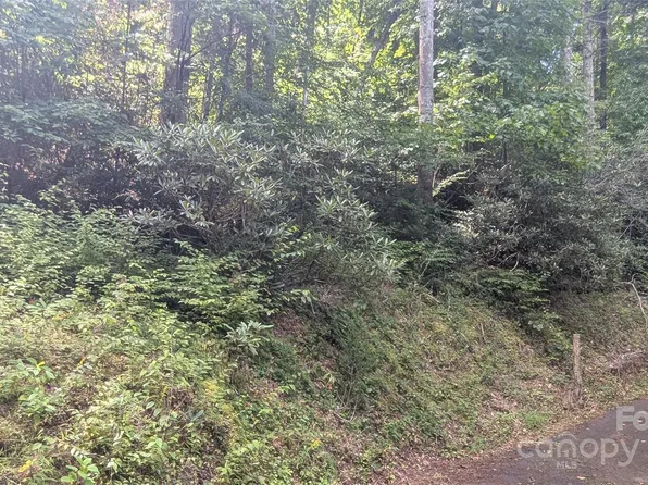 0 Chestnut Walk Dr #3, Waynesville, NC 28786