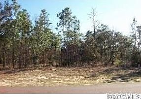 1st image of 55 Corkwood Blvd