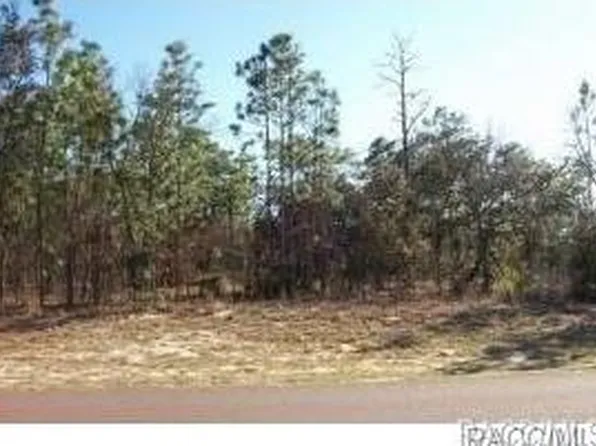 55 Corkwood Blvd, Homosassa, FL 34446