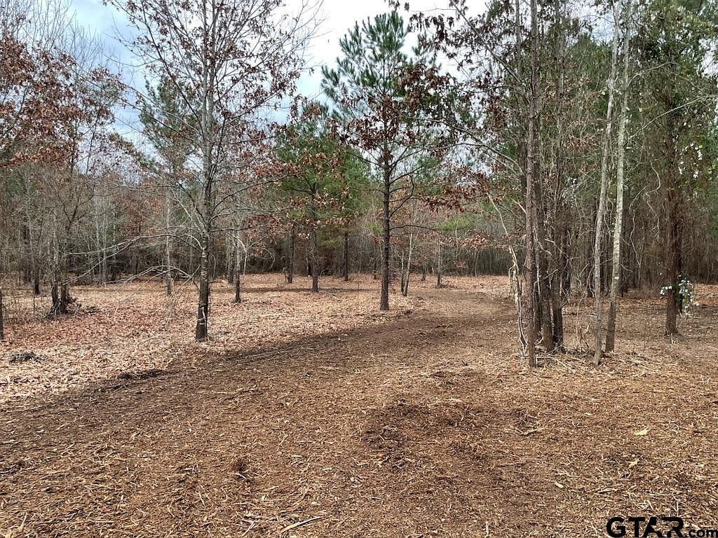 4790 Me Not Rd, Gilmer, TX 75644 MLS 23007781 Zillow