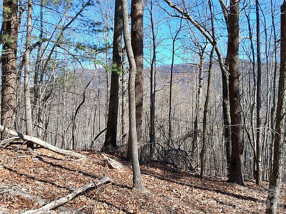 3rd image of 0 Piney Gate Rd #39