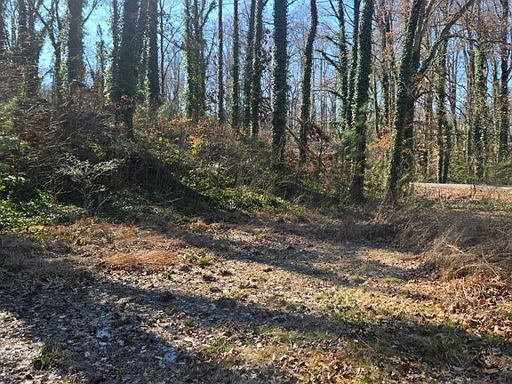 5th image of 5674 Woodland Dr