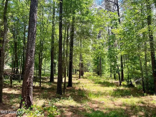 Spring Creek Rd Lot 4, Flora, MS 39071