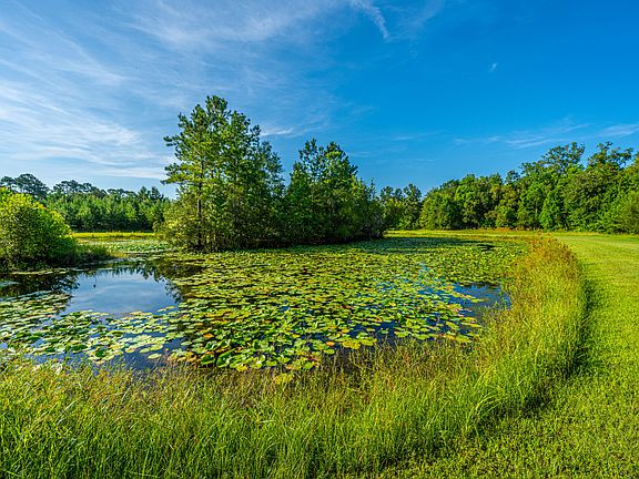 138th image of this home