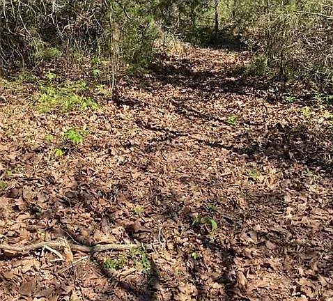 5th image of 13701 Choctaw Hills Pl Lot 6