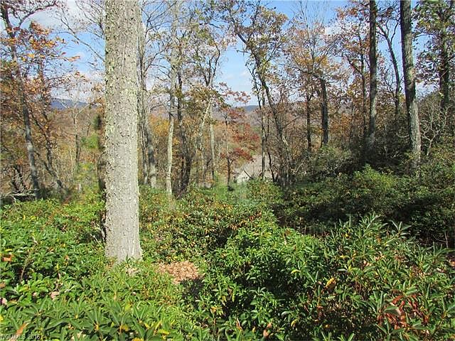 1st image of 1252 Mills River Way