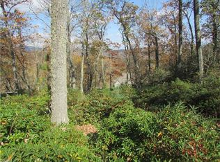 1252 Mills River Way, Horse Shoe, NC 28742