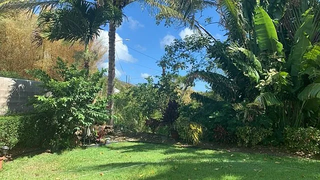 523 Kualau St — Photo 20