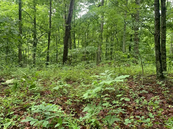 0 Kiser Rd, Grayson, KY 41143