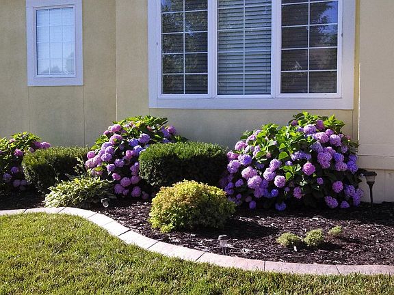 Front yard landscaping