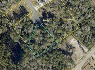 175 Marsh Oaks Dr, Waverly, GA 31565