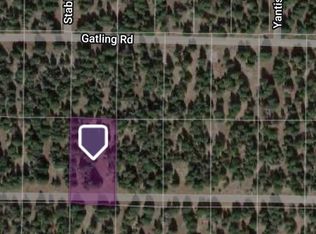 LOT 23 UNIT 3, Alturas, CA 96101