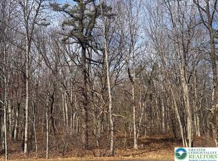 Bear Ln, Jim Thorpe, PA 18229