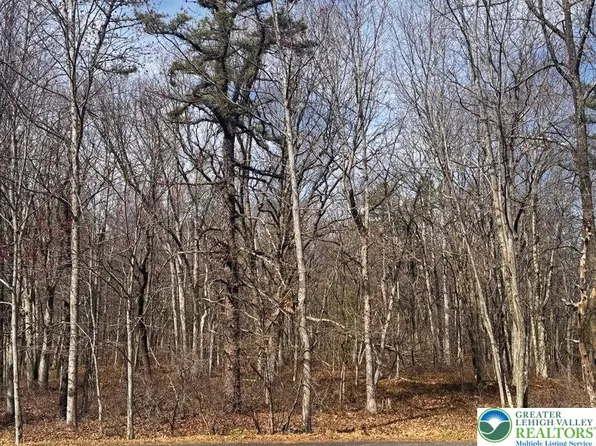 Bear Ln, Jim Thorpe, PA 18229