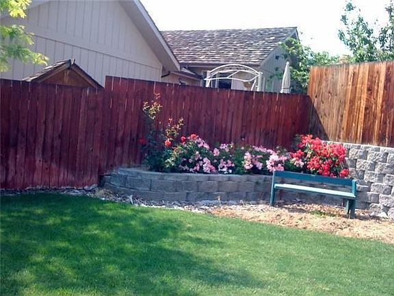 Rose corner of backyard