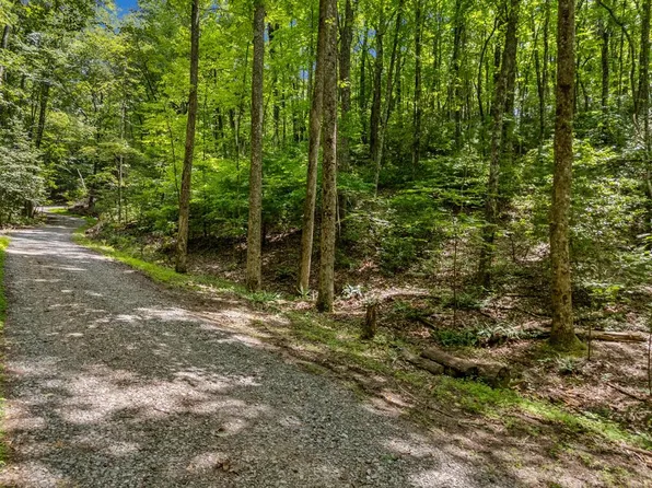 0 Paradise Ln, Ellijay, GA 30540