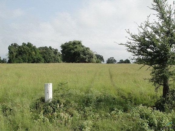 2nd image of 0 County Road 1219