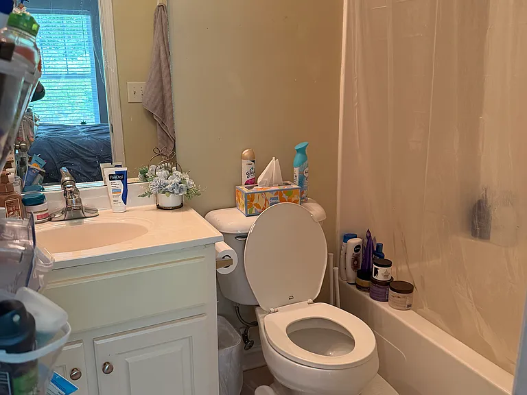 490 Barnett Shoals Rd #817 — Photo 8