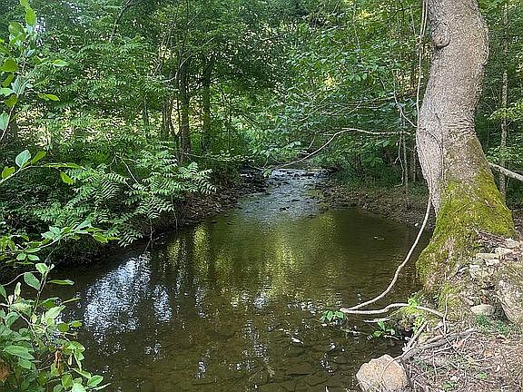 2nd image of 915 Chestnut Valley Rd