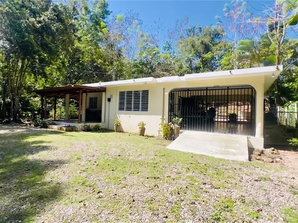 Carr 115 Bo Calvache, Rincon, PR 00677