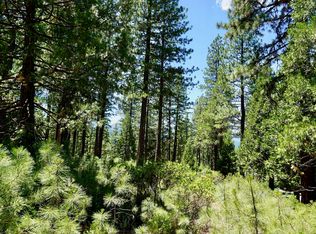 1509 Ringtail Rd, Clio, CA 96106