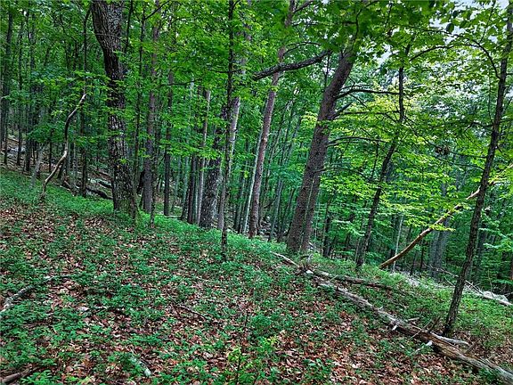 5th image of 0 Ridgeside Ct #293