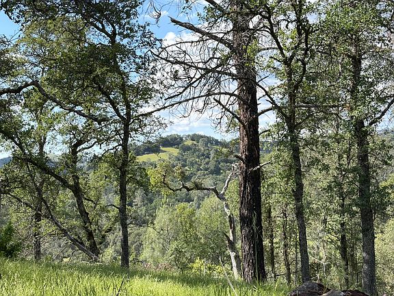 5th image of Spring Valley Rd