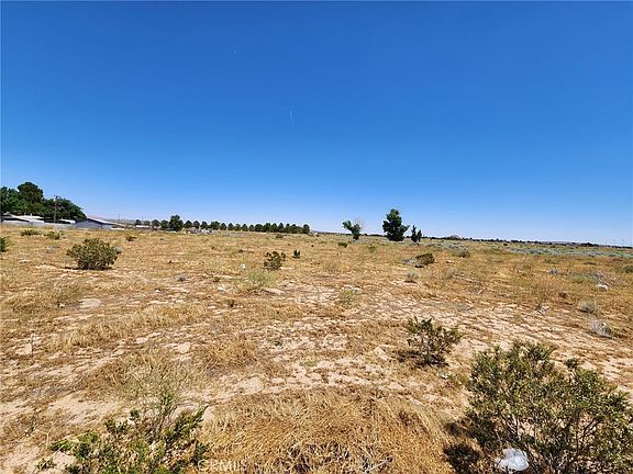 4th image of 22200 Yerba Blvd