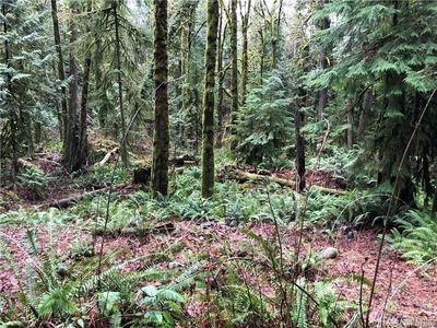 120 E Olympic View St, Belfair, WA, 98528