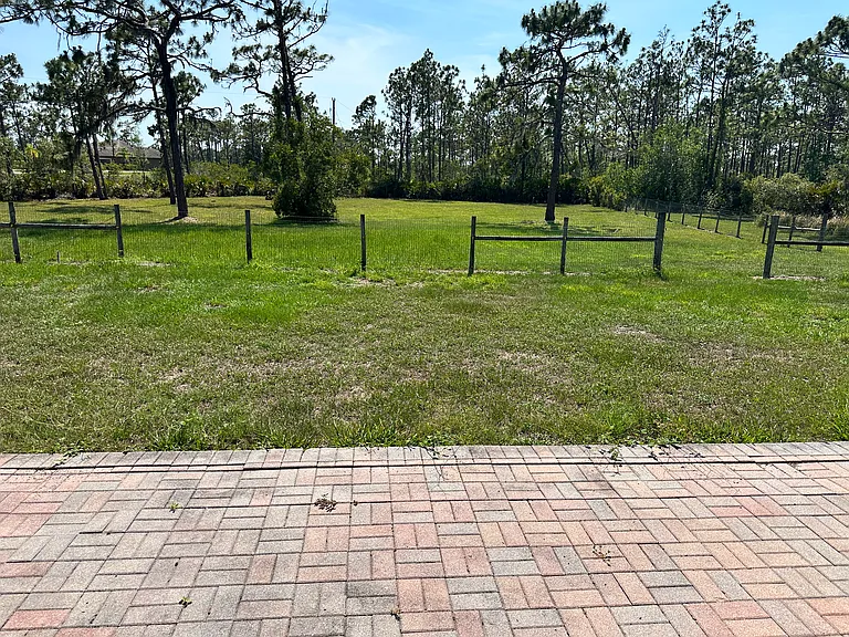 View from Back Patio