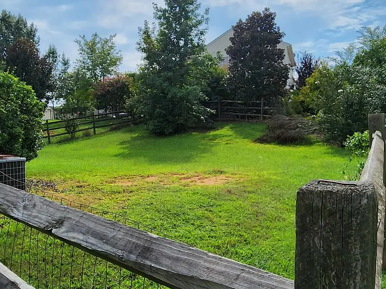 Large backyard