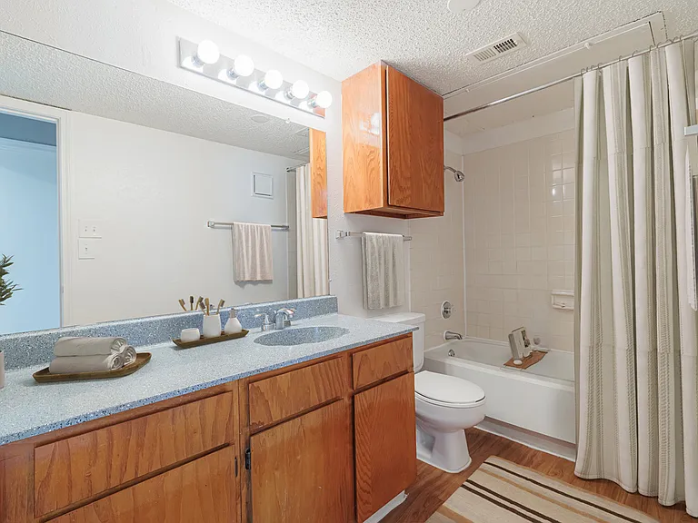 VS Unit 03 Bathroom 01