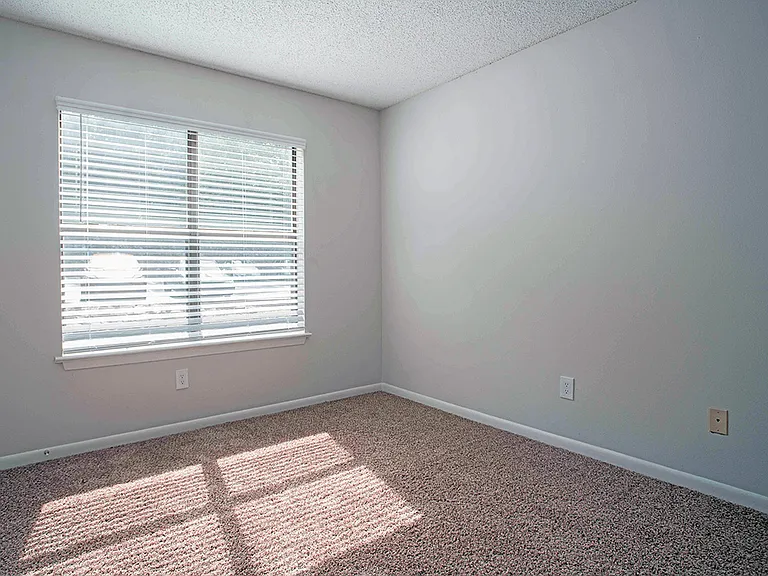 Abundant Natural Light