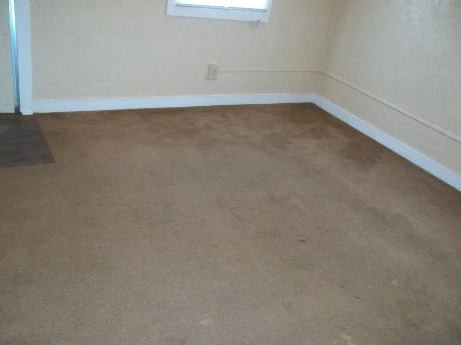 1 bed, 599 sqft, $1,395 — Photo 4