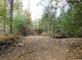 25749 Ashland View Ct, Pioneer, CA 95666