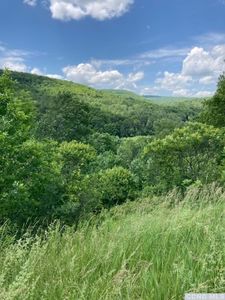 1026 E Gates Hill Rd, Middleburgh, NY, 12122