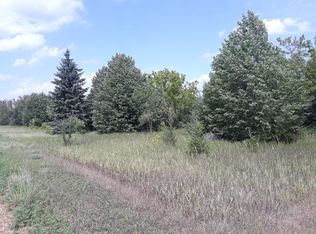 155X Halsey Ave, Carver, MN 55315