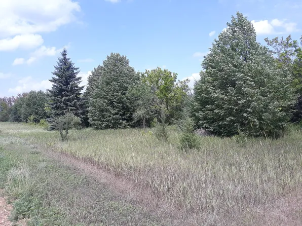 155X Halsey Ave, Carver, MN 55315