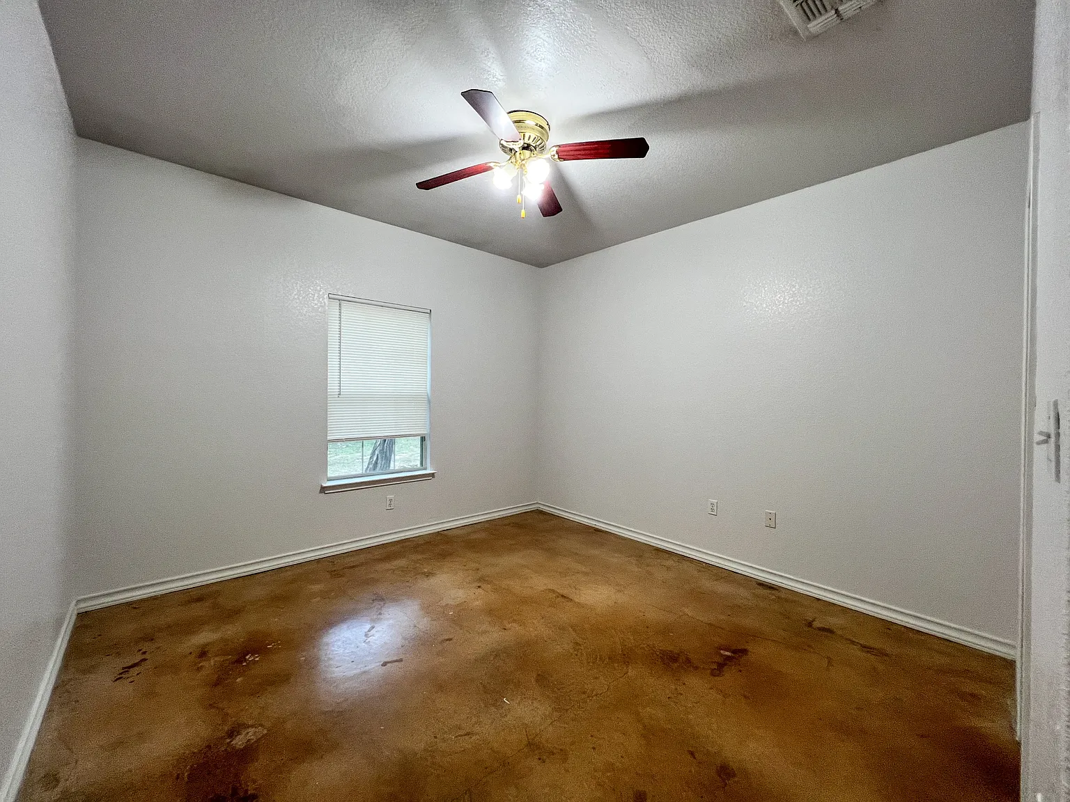 1080 Rainbow Dr - 3 — Photo 3