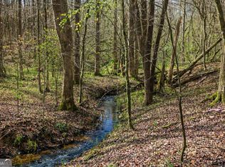 2325 Stonepile Rd LOT 3, Clarkesville, GA 30523