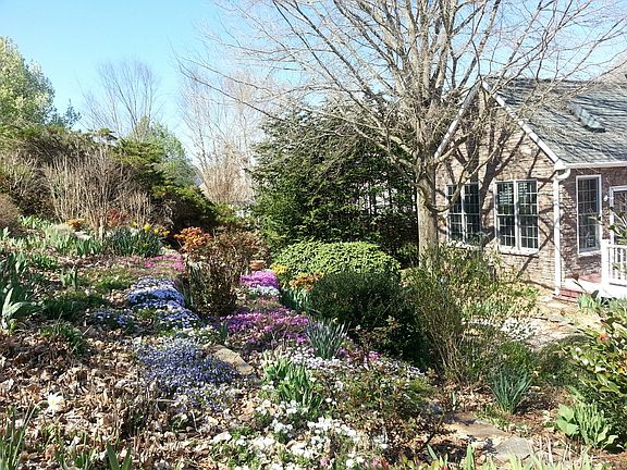 Side view of gardens
