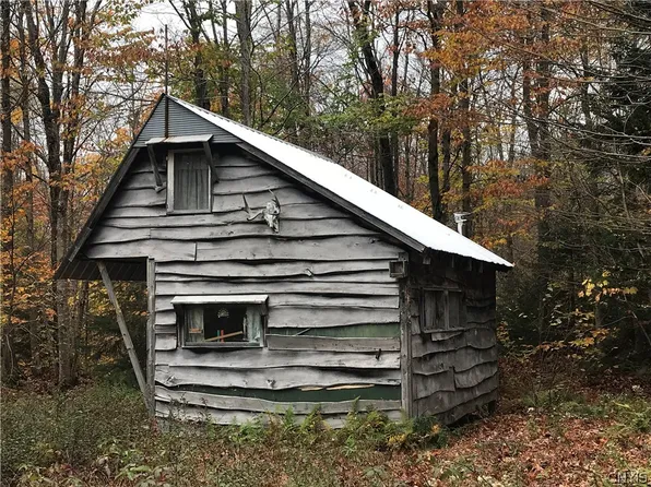1849 W Hogans Rd, Redfield, NY 13437
