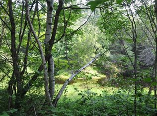 LOT Lot 56th Route 16 Map #4, Abbot, ME 04406