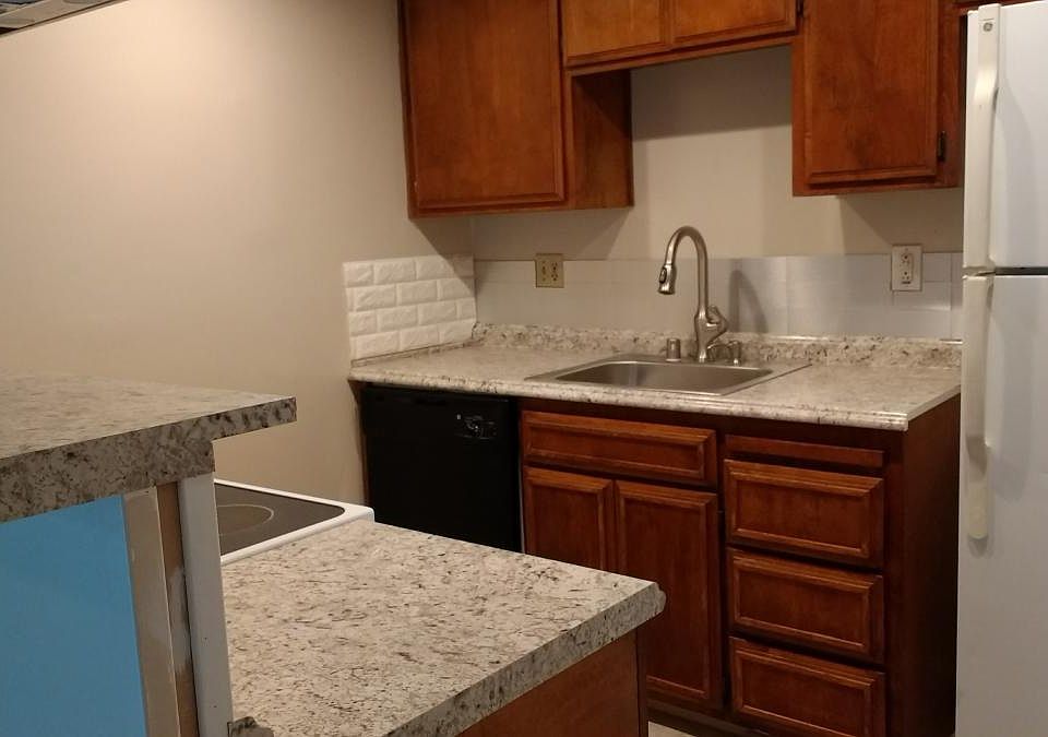New sink, faucet, counters, dishwasher